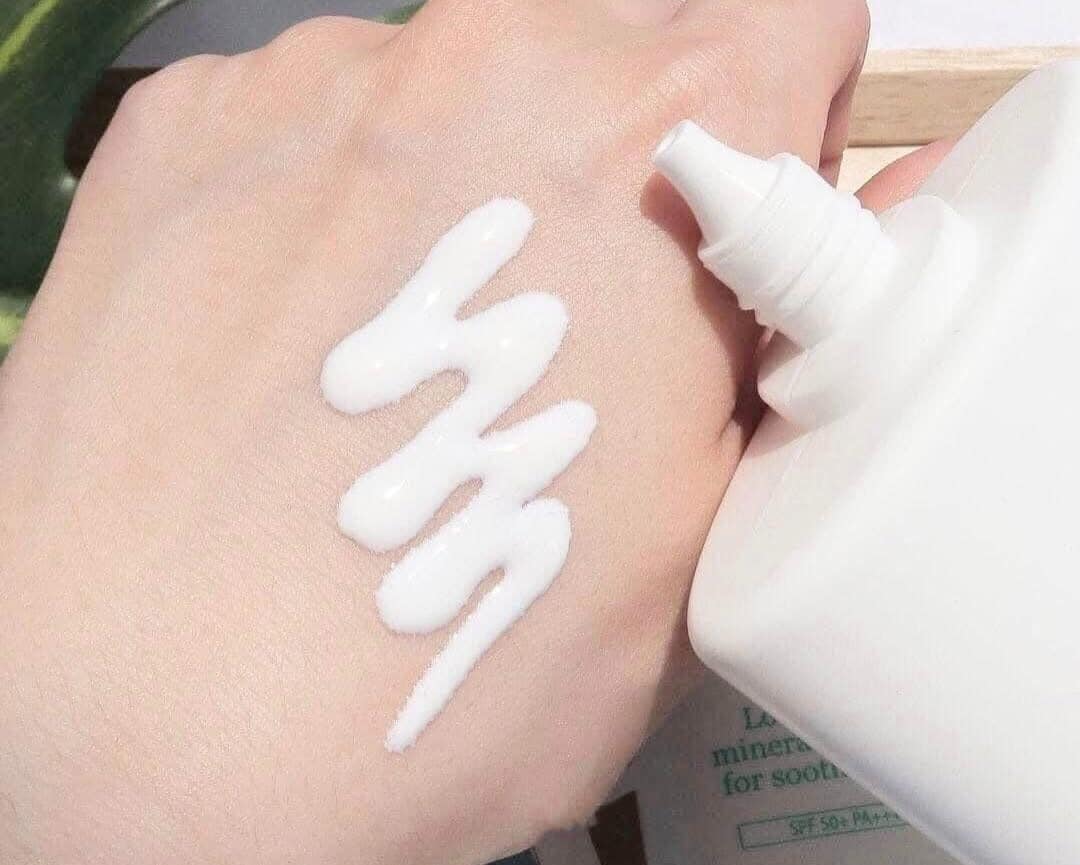 474801034_1018566063641128_2163761934603987342_n